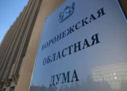 В Воронежской областной Думе объяснили масштабную закупку моноблоков