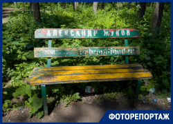  Парк с депутатскими лавочками превратился в сорняковый кошмар в Воронеже 