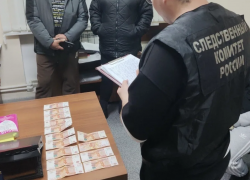 Пьяный водитель рискует «заехать» за попытку дать взятку в Воронежской области