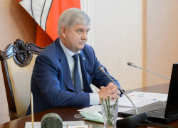 Аналитика об Александре Гусеве обойдется налогоплательщикам в 85 тысяч рублей