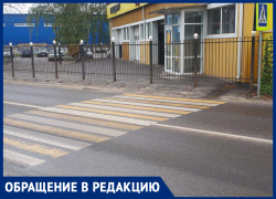 Глумливую «зебру» заметили в Воронеже 