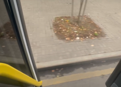 А у девчонок ветерок дует между ног в Воронеже 