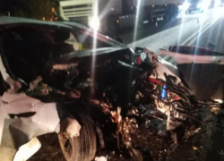 Опубликованы страшные фото смертельного ДТП с деревом в Воронеже 