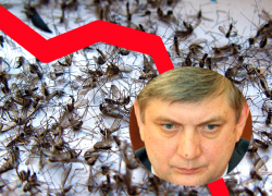 Воронежское правительство ответило за падение рейтинга Гусева, высосанного комарами