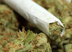 В Воронежской области подросток хранил дома наркотики 