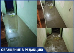 «Сотрудники травятся, свет отключен, а ремонт займет 3–4 месяца»: воронежский благотворительный склад утонул в фекалиях