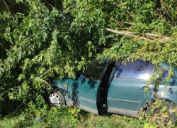 Автомобилист умер после столкновения с деревом под Воронежем