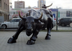 «Вместо быка я бы поставил осла, который символизирует большинство воронежских чиновников»