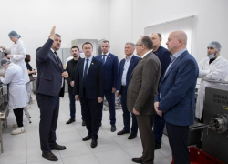 Представители заксобраний Содружества «Донбасс» оценили возможности образовательного кластера в Павловском районе