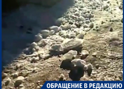 Нецензурную реакцию на ледяную бомбардировку сняли в Воронеже