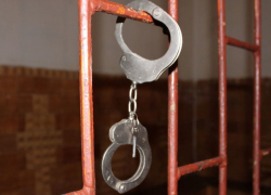 В воронежском селе 8-летнюю девочку изнасиловал малолетний сосед