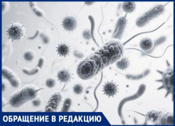 Воронежцы забили тревогу из-за кишечной инфекции, разбушевавшейся в местной школе