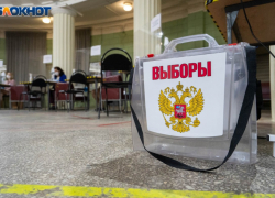 На круглую сумму ЦИК России «проинвестирует» воронежский облизбирком 