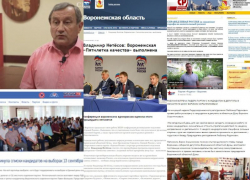 «Единая Россия» и ЛДПР выдвинули кандидатов на выборы: чем за неделю отличились партии в Воронеже