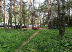 Зеленую зону Воронежа превратили в бесконтрольную парковку: опубликовано видео
