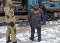 Сотни тысяч мальков амура и толстолобика выпустили в Воронежское водохранилище