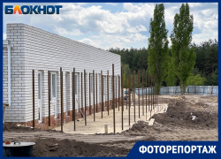 Как идет строительство первого муниципального приюта для собак в Воронеже - одного из крупнейших в России