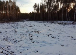 С владельцев «Рамонских дач» Воронежский заповедник попробует взыскать 144 млн руб