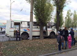 В Воронеже из-за столкновения автобуса №66 с деревом пострадала пенсионерка 