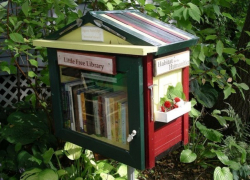 Воронежский фотограф предлагает устроить в парках свободную библиотеку