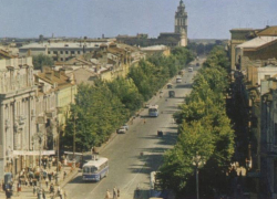 4 тысячи деревьев и 19 тысяч кустарников планируют высадить в Воронеже в 2026 году 