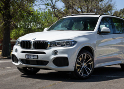 47-летний мужчина разбил металлической палкой BMW X5 под Воронежем 