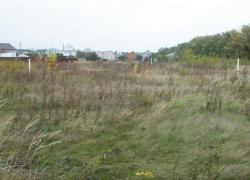 Многодетный воронежец обвинил главу микрорайона Подклетное и ее сына в «рейдерском» захвате его земли