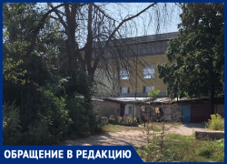 Сорняки, сухие ветки, ямы и обшарпанные фасады: секреты старой двухэтажки вскрыли в Воронеже 