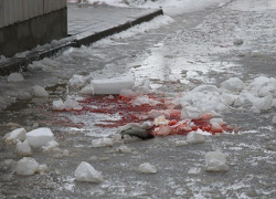 Воронежцы сообщили, что погибшим от наледи мужчиной был журналист «Коммуны»