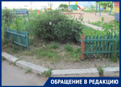 Хуже, чем в банке: воронежцы воюют с УК из-за "хамских" процентов