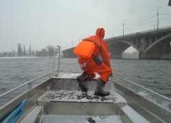 Юная жительница Воронежа упала с ВОГРЭСовского моста