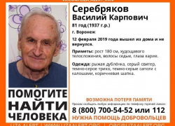 81-летнего мужчину в рыжей дубленке ищут в Воронеже