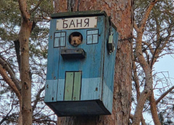 Воронежская белка устроила себе банный день 