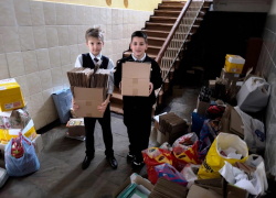 Юные экогерои Воронежа собрали почти тонну бумаги, чтобы сохранить леса