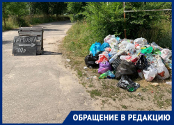 Воронежцы пришли в ужас от состояния пляжа с платной парковкой