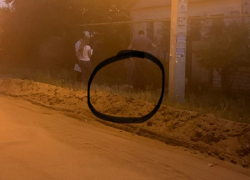 Мертвого мужчину нашли в кустах микрорайона Подгорное в Воронеже