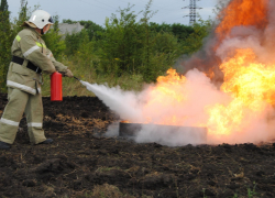 В Воронеже растет площадь лесных пожаров