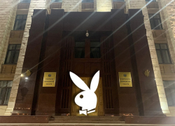 СК ищет, кто на акции Навального распространял эротическое фото сотрудницы воронежского правительства