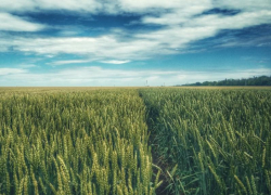 Водную блокаду села устроили в Воронежской области 