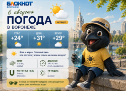 Под сорок градусов будет ощущаться погода в Воронеже
