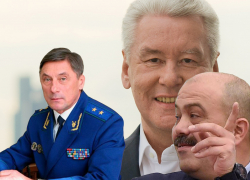 Николай Шишкин отмёл свою причастность к клану Собянина-Махмудова