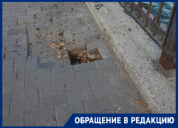 Состоянием набережной пристыдили коммунальщиков в Воронеже