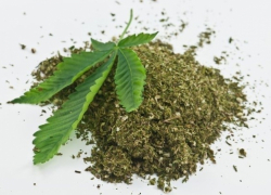 У жителя Воронежской области изъяли 800 граммов марихуаны