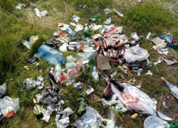 «Быдло отдыхает»: мусорный апокалипсис заметили на Усманке под Воронежем