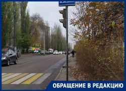 Ливневка, светофор и дорожные знаки вступили в борьбу с воронежскими пешеходами