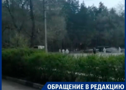 Воронежцев возмутила обработка клещей в людном парке