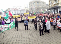 В Воронеже на рождественских каникулах антиникелевцы планируют собрать 100 тысяч подписей