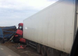 Под Воронежем в аварии большегрузов пострадал водитель 