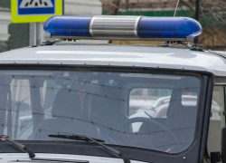 Полицейские прокомментировали избиение патрульными воронежца в лесу 