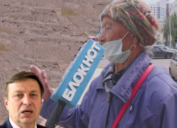 Разбитыми дворами и грязью воронежцы пристыдили депутата Александра Головина